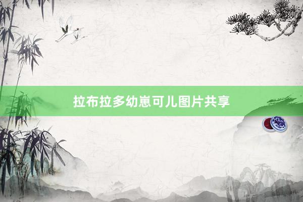 拉布拉多幼崽可儿图片共享