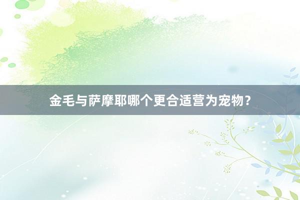 金毛与萨摩耶哪个更合适营为宠物？